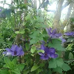 Les Coquelicots Сasa de vacaciones
