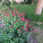 Les Coquelicots Сasa de vacaciones *
