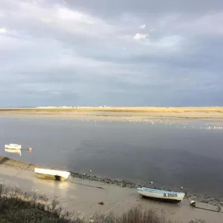 Les Coquelicots * Nibas