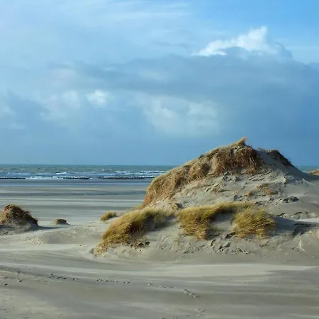 Les Coquelicots Hébergement de vacances *