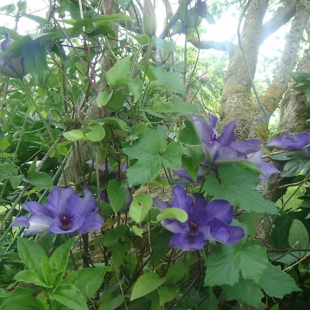 Les Coquelicots Σπίτι διακοπών