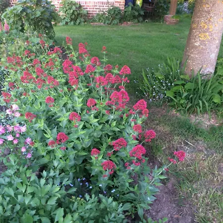 Les Coquelicots Σπίτι διακοπών *
