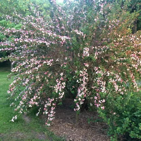 Hébergement de vacances Les Coquelicots *