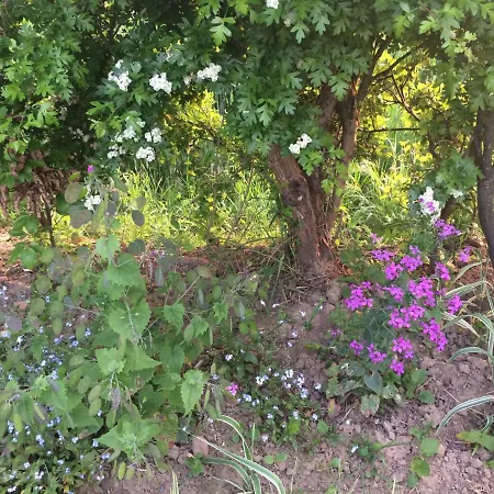 Hébergement de vacances Les Coquelicots