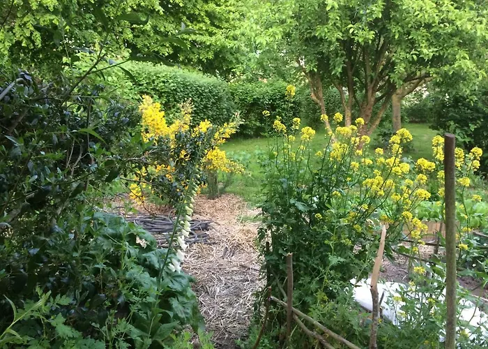 Les Coquelicots * Nibas