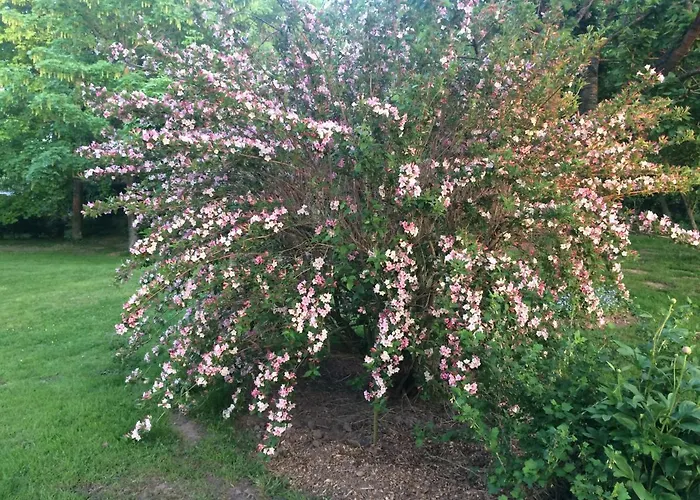 Holiday home Les Coquelicots *