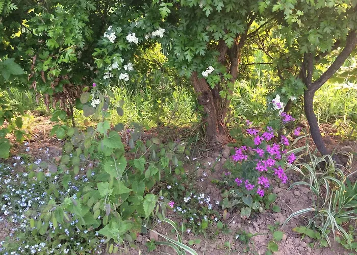 Holiday home Les Coquelicots